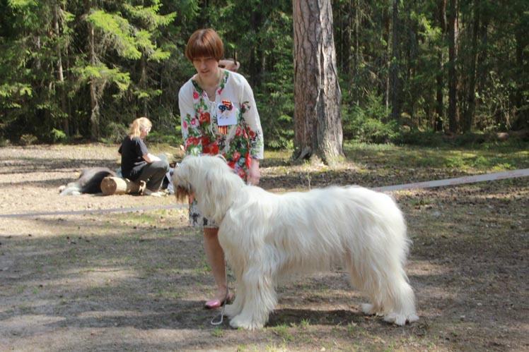 Питомник крым каталог. Королева сада питомник. Laufer Nadezhda питомник.